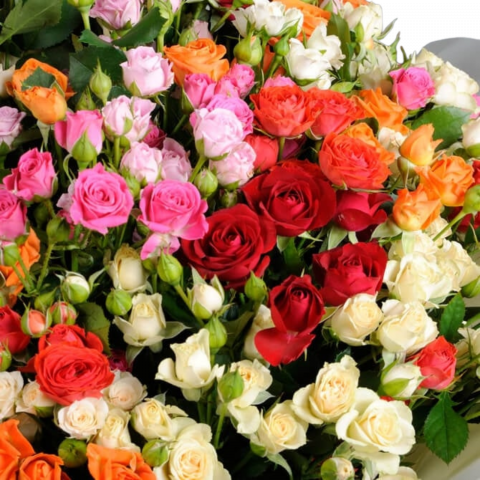 Buchet minirose multicolore [1]