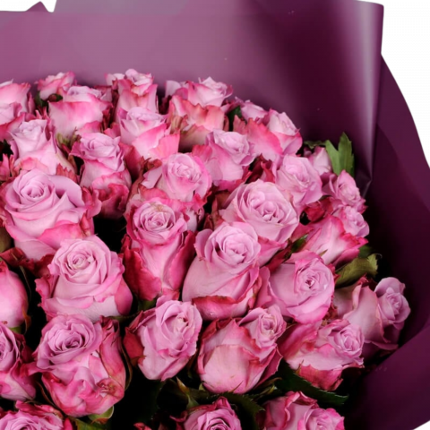 Buchet trandafiri mov [1]