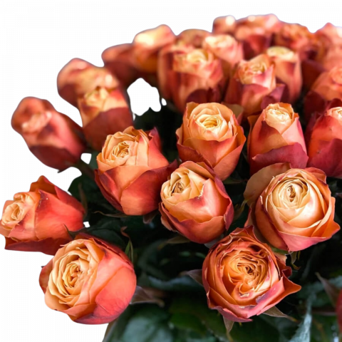Buchet trandafiri portocalii Kahala [1]