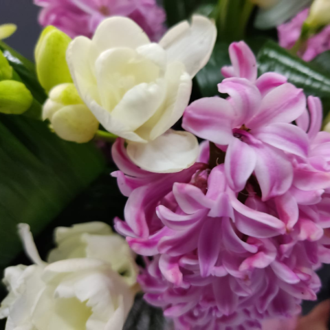 Compoziție cu zambile, lalele și frezii [1]