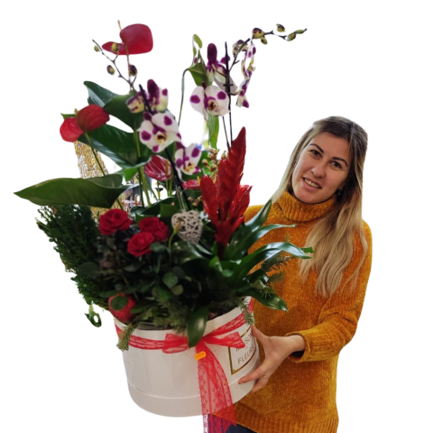 Compoziție DeLuxe Orhideea Phalaeanopsis, Anthurium, Vrisea, Minirosa și Brăduț [1]