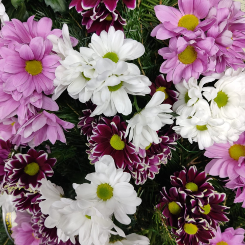 Coroană funerară 2D crizanteme mov, albe și roz [2]