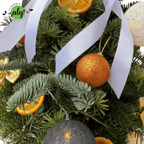 Brăduț de Crăciun decorat în vas [1]