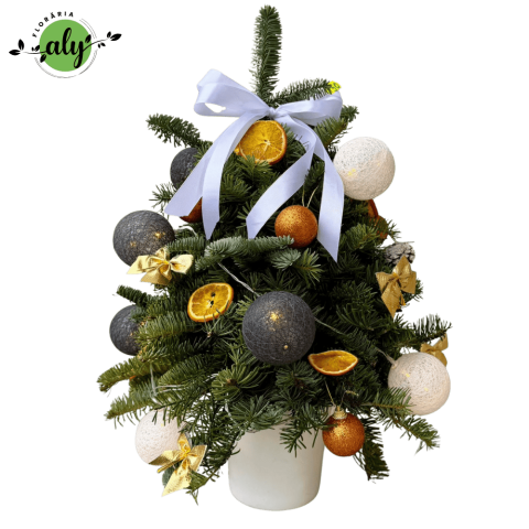 BRĂDUȚI DECORATIVI DE CRĂCIUN - Brăduț de Crăciun decorat în vas