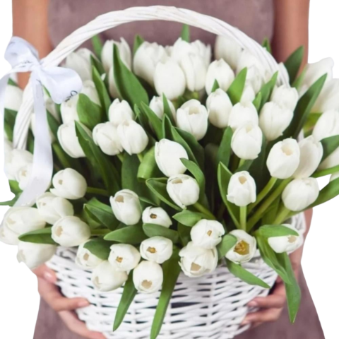1-8 MARTIE - Coș cu 69 lalele albe