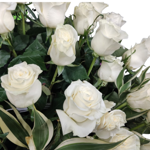 Coș funerar cu trandafiri albi [2]