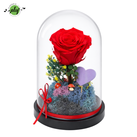 TRANDAFIRI CRIOGENAȚI - Cupolă cu trandafir criogenat roșu