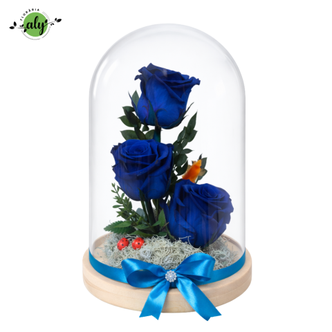 PENTRU BĂRBAȚI - Cupolă sticlă cu 3 tradafiri criogenați albaștri