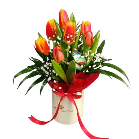 CUTII LALELE - Cutie cilindru cu lalele și gypsophila