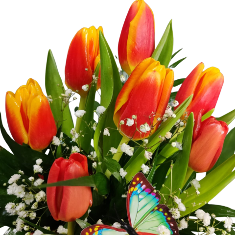 Cutie cilindru cu lalele și gypsophila [1]