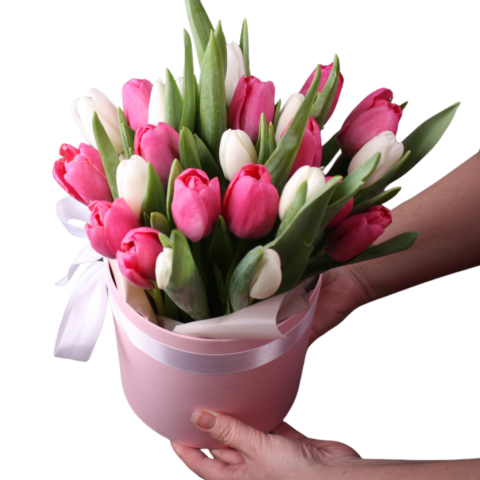 1-8 MARTIE - Aranjament floral cu lalele roz și albe în cutie cilindrică