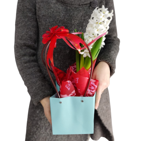 Sacoșică cu zambilă albă la ghiveci [2]