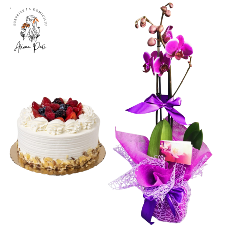 SURPRIZE LA DOMICILIU - Surprize la domiciliu Pachet 1