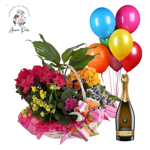 SURPRIZE LA DOMICILIU - Surprize la domiciliu Pachet 11