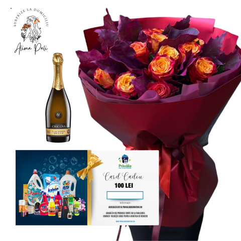 SURPRIZE LA DOMICILIU - Surprize la domiciliu Pachet 9