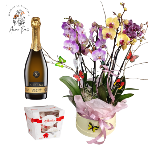 SURPRIZE LA DOMICILIU - Surprize la domiciliu Pachet 15