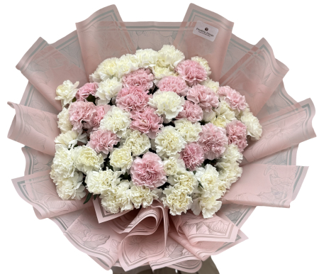 Buchete asortate - Buchet 51 garoafe pastel