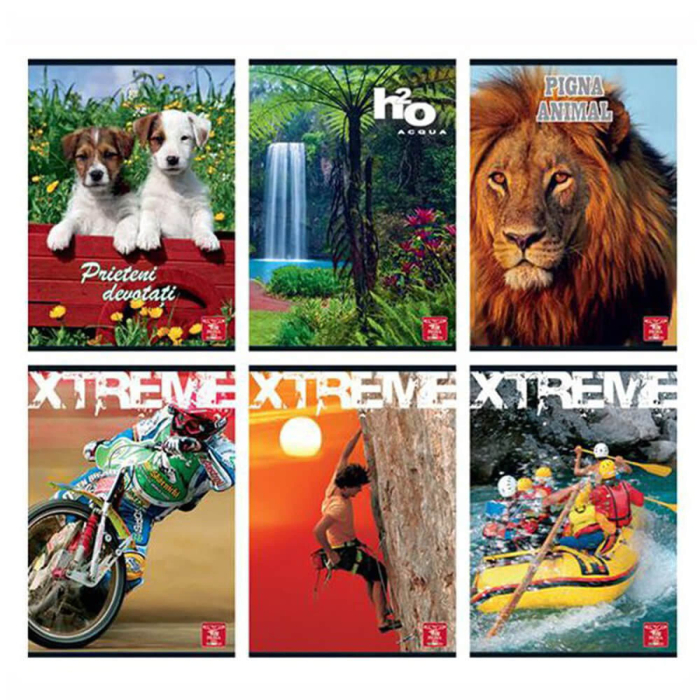 Caiet A5 48 file Dictando Coperta Policromie [2]