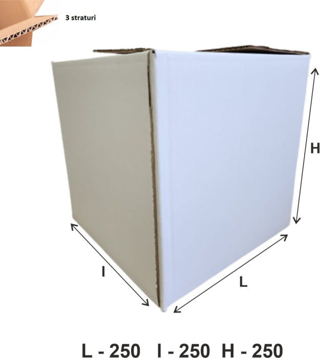 Cutie clasica transport 250x250x250 [2]