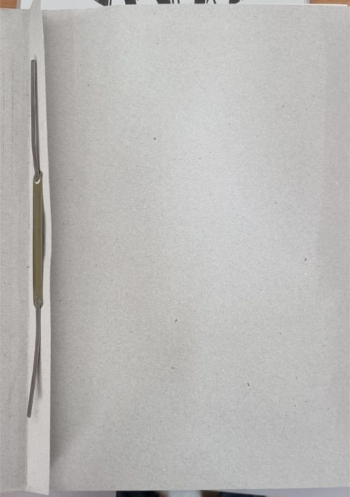 Dosar cu sina carton alb [2]