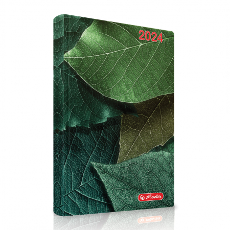 Agende - Agenda datata 2024, format A5, 352 pagini, motiv Leaves