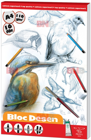 Blocuri de desen - Bloc desen A4, 110 g, 16 file, diverse modele