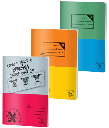 Caiete - Caiet A4 48 file Dictando Coperta Basic