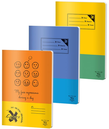 Caiete - Caiet A4 80 file Dictando Coperta Basic