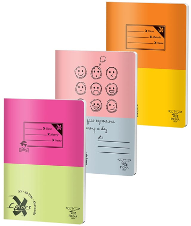 Caiete - Caiet A5 48 file DIctando Coperta Basic