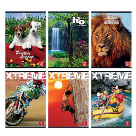 Caiet A5 48 file Dictando Coperta Policromie [1]