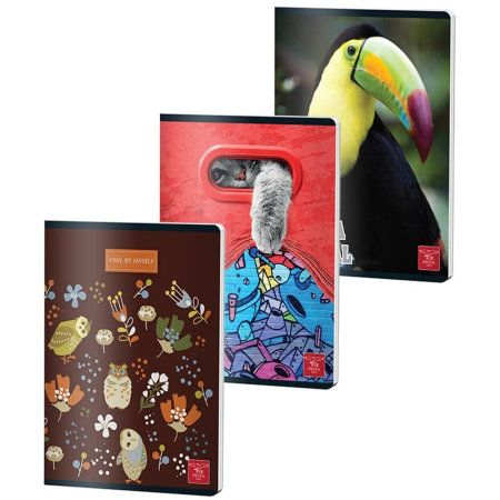 Caiete - Caiet A5 60 file Dictando Coperta Policromie