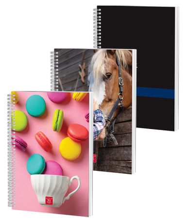 Caiete Scolare - Caiet Spira Continua A4 140 file, Matematica, Coperta Plastic