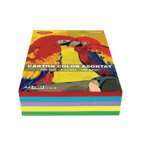 Carton Color - Carton Color Asortat A4 160g/m2 250 de coli 5 culori