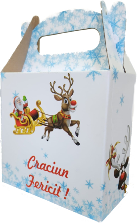 Cutii carton depozitare - Cutie Carton Cadou Craciun Albastra Mica