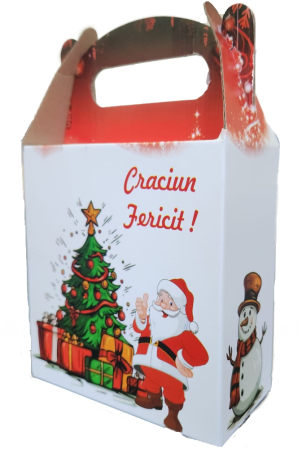 Cutii carton depozitare - Cutie Carton Cadou Craciun Rosie Mica