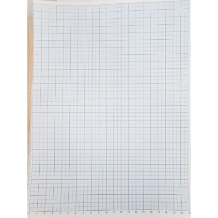 Hârtie Calc & Milimetrică - Hartie milimetrica, A4, set/100 ( Dany Cris )