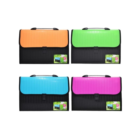 Mape - Mapa A4, cu 12 compartimente