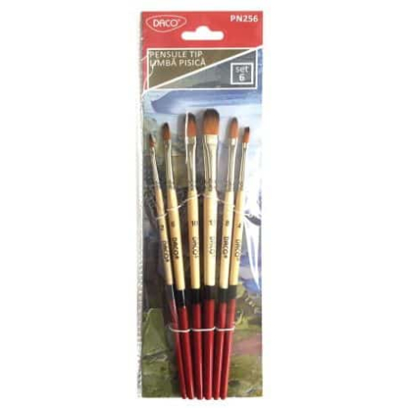 Pensule - Pensula set 6 tip limba de pisica PN256