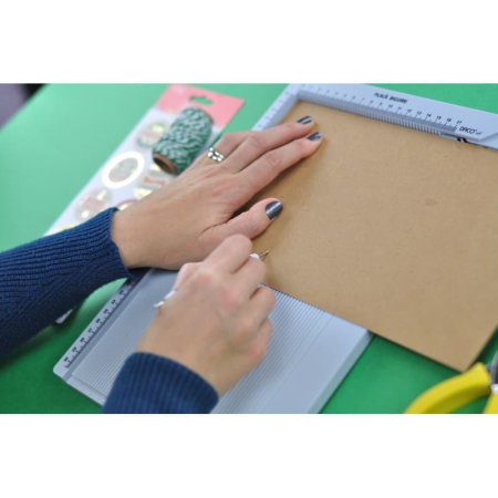 Placa biguire multifunctionala 30,5 x 17 [1]