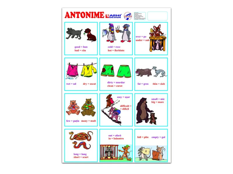 Planse școlare - Plansa Antonime A4, Limba Romana/Engleza