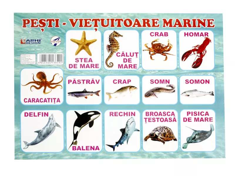 Planse școlare - Plansa Pesti A4 din carton cu lacuire UV