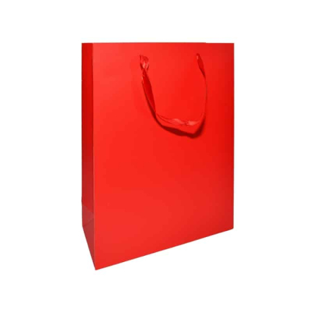 Ambalare & Logistică - Punga Cadou Unicolora, 18x21x8cm