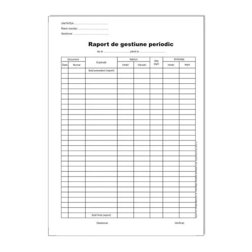 Registre & Formulare - Raport de gestiune periodic A4 vertical ( Dany Cris )