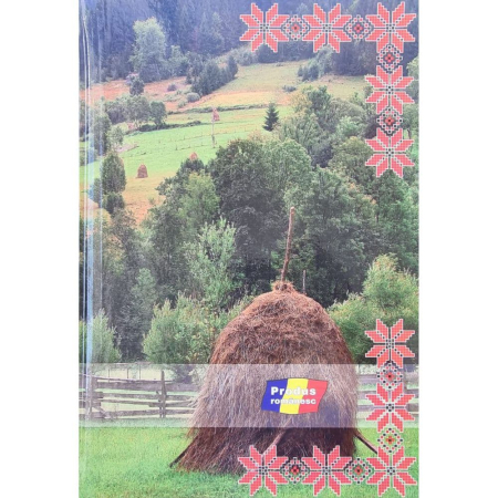 Registre & Formulare - Registru A4, 200 file cartonat, Dictando/Matematica DC