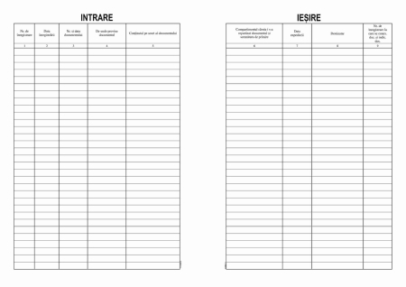 Registre & Formulare - Registru Intrari - Iesiri A4 Coperta carton duplex ( Dany Cris )