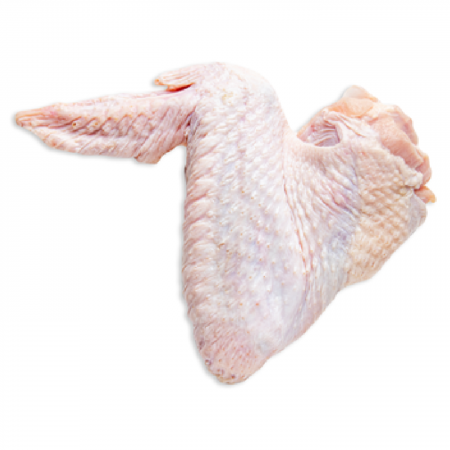 Curcan - Aripi de curcan