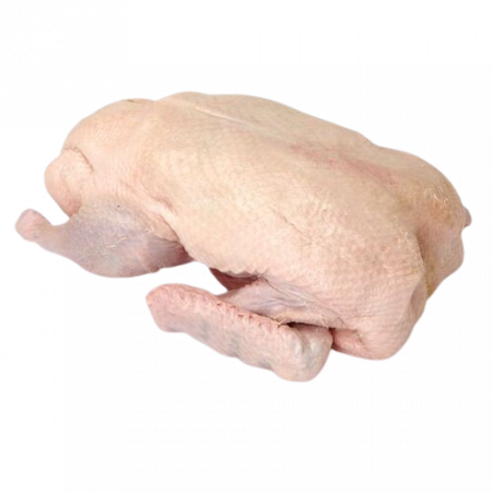 Păsări - Gâscă îngrășată