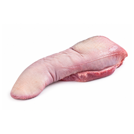 Vită - Limba vita