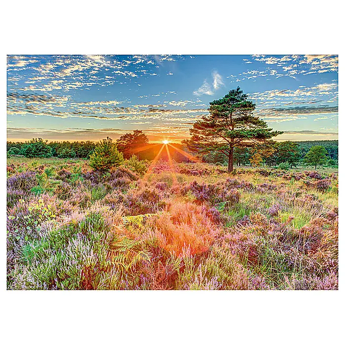 Puzzle Schmidt: Apus de soare, 1000 piese [2]