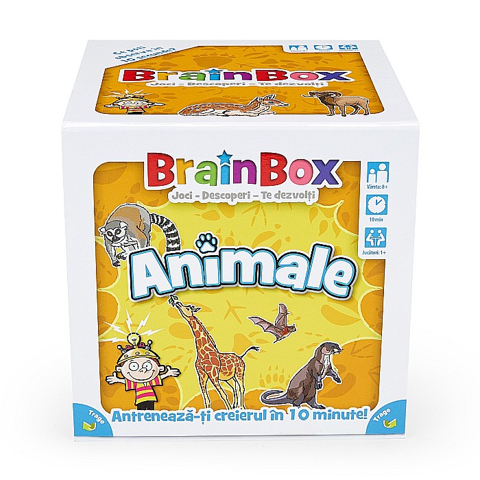 BrainBox Animale [2]